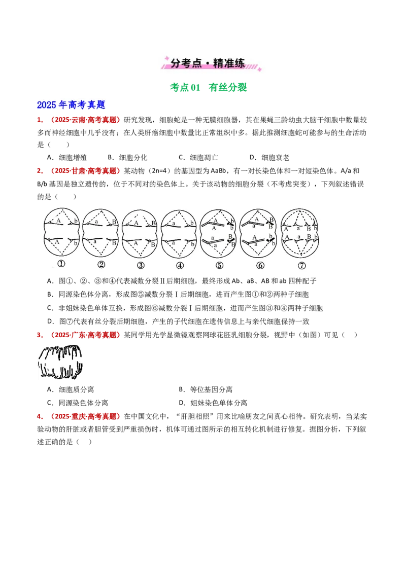 五年（2021-2025）全国高考生物真题分类汇编专题06有丝分裂和减数分裂（全国通用）（原卷版）_高考真题分类汇编_高考生物真题分类汇编（全国通用）五年（2021-2025）