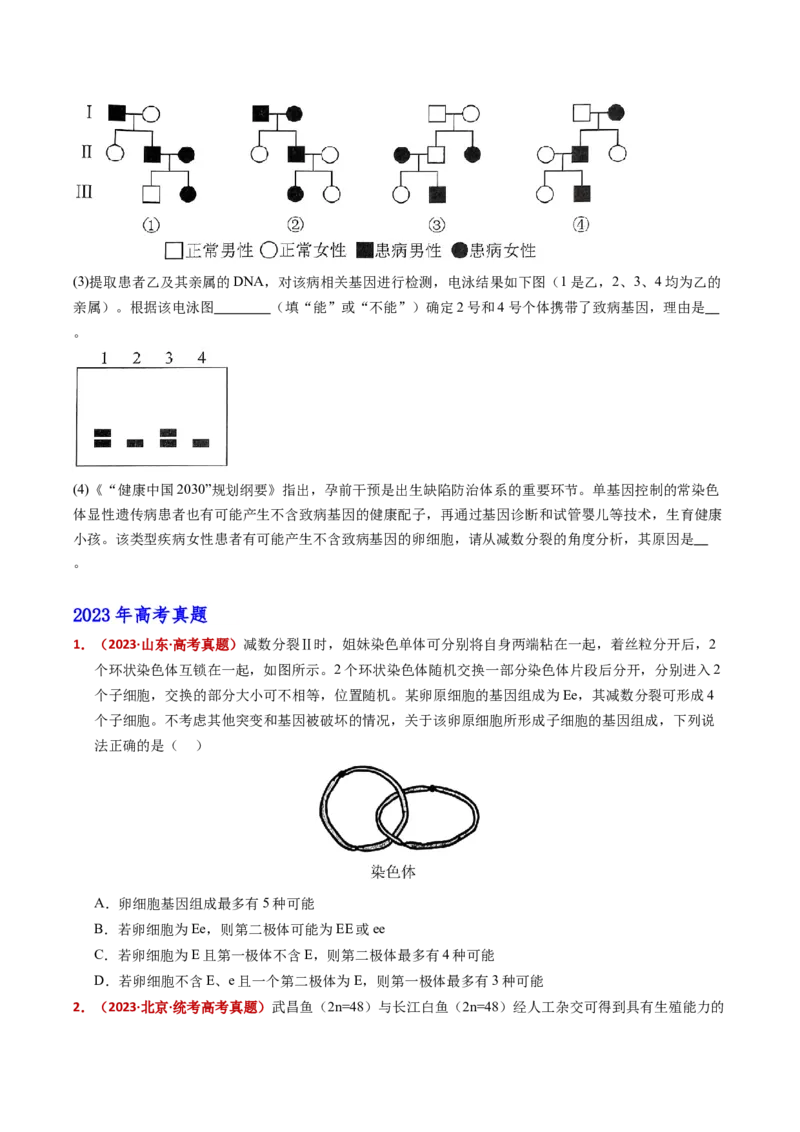 五年（2021-2025）全国高考生物真题分类汇编专题06有丝分裂和减数分裂（全国通用）（原卷版）_高考真题分类汇编_高考生物真题分类汇编（全国通用）五年（2021-2025）
