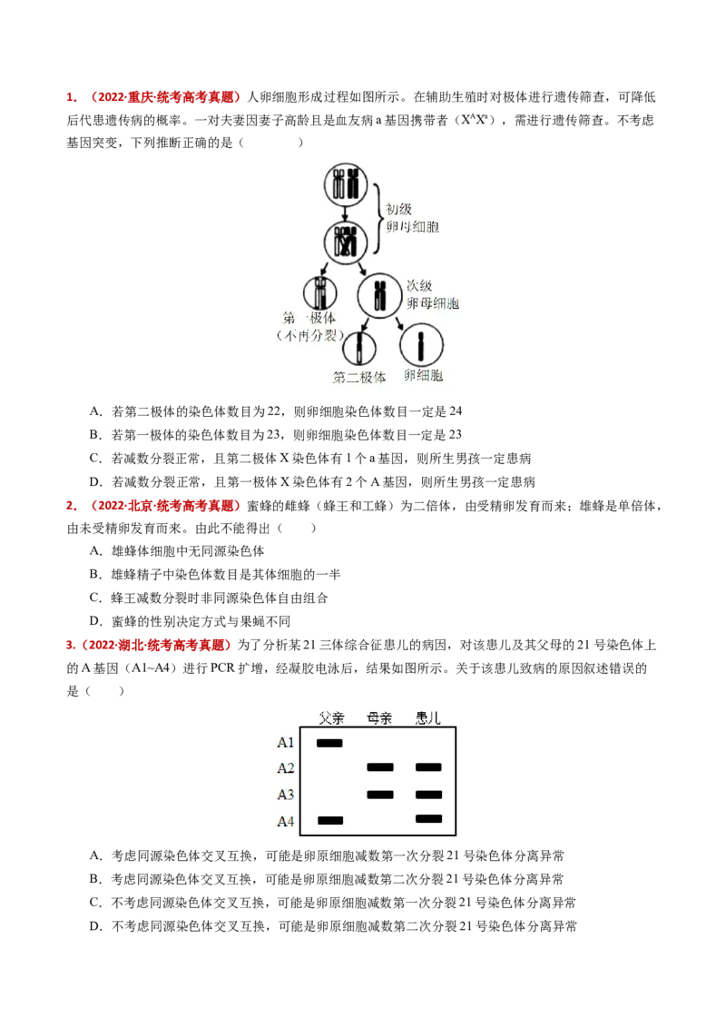 五年（2021-2025）全国高考生物真题分类汇编专题06有丝分裂和减数分裂（全国通用）（原卷版）_高考真题分类汇编_高考生物真题分类汇编（全国通用）五年（2021-2025）