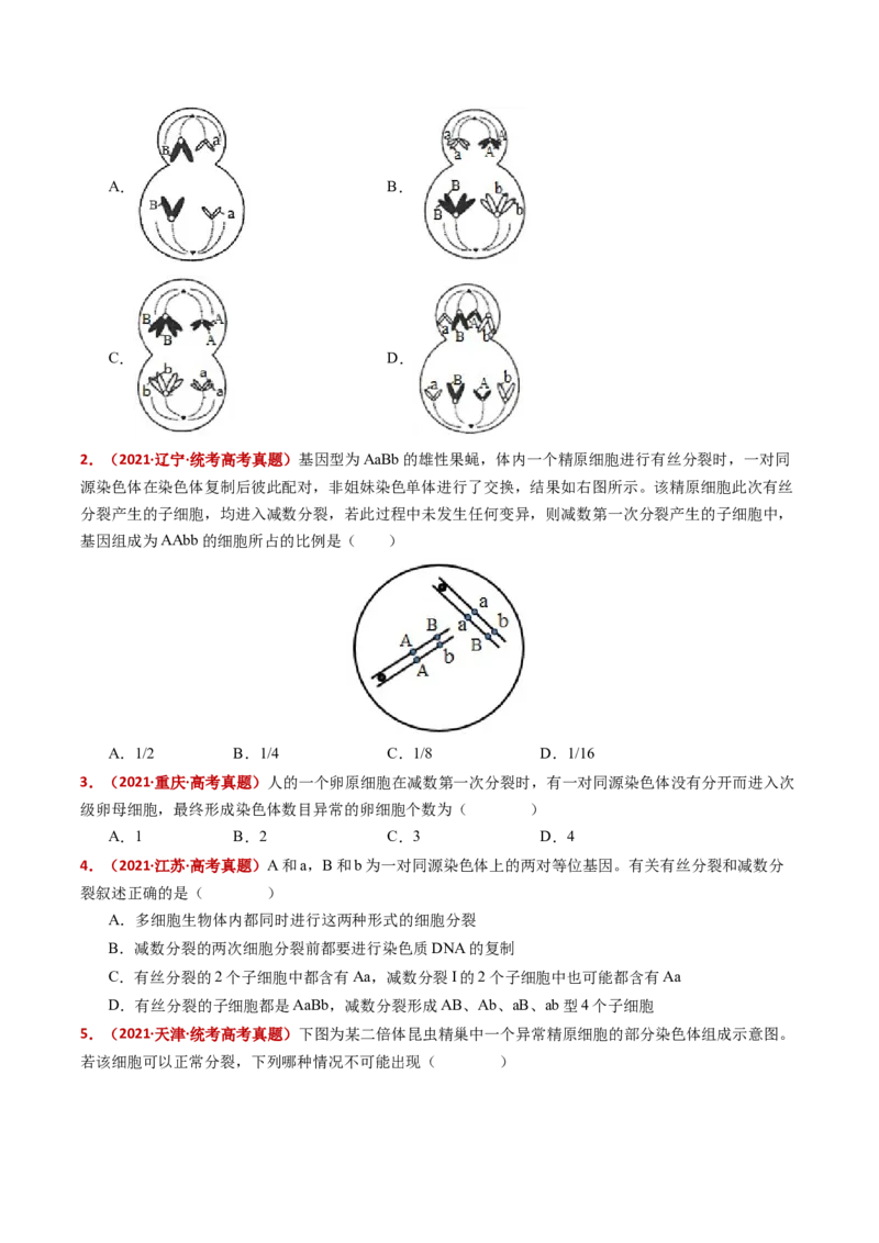 五年（2021-2025）全国高考生物真题分类汇编专题06有丝分裂和减数分裂（全国通用）（原卷版）_高考真题分类汇编_高考生物真题分类汇编（全国通用）五年（2021-2025）