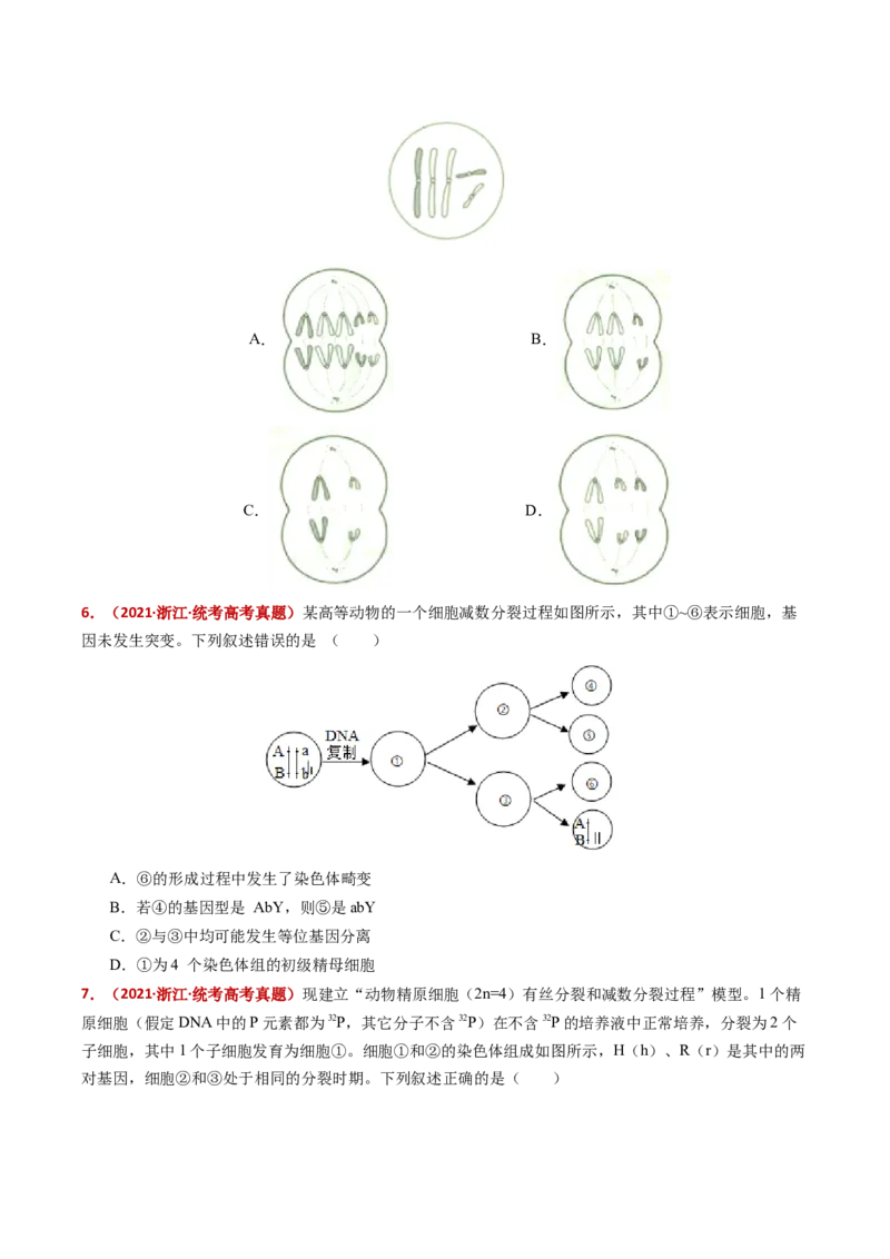 五年（2021-2025）全国高考生物真题分类汇编专题06有丝分裂和减数分裂（全国通用）（原卷版）_高考真题分类汇编_高考生物真题分类汇编（全国通用）五年（2021-2025）