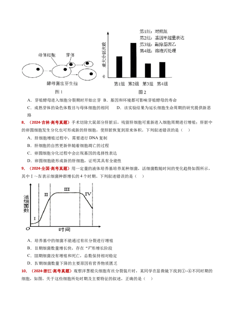 五年（2021-2025）全国高考生物真题分类汇编专题06有丝分裂和减数分裂（全国通用）（原卷版）_高考真题分类汇编_高考生物真题分类汇编（全国通用）五年（2021-2025）