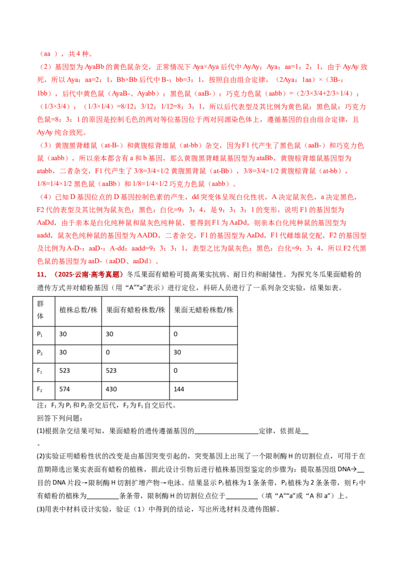 五年（2021-2025）全国高考生物真题分类汇编专题09基因的分离定律（全国通用）（解析版）_高考真题分类汇编_高考生物真题分类汇编（全国通用）五年（2021-2025）