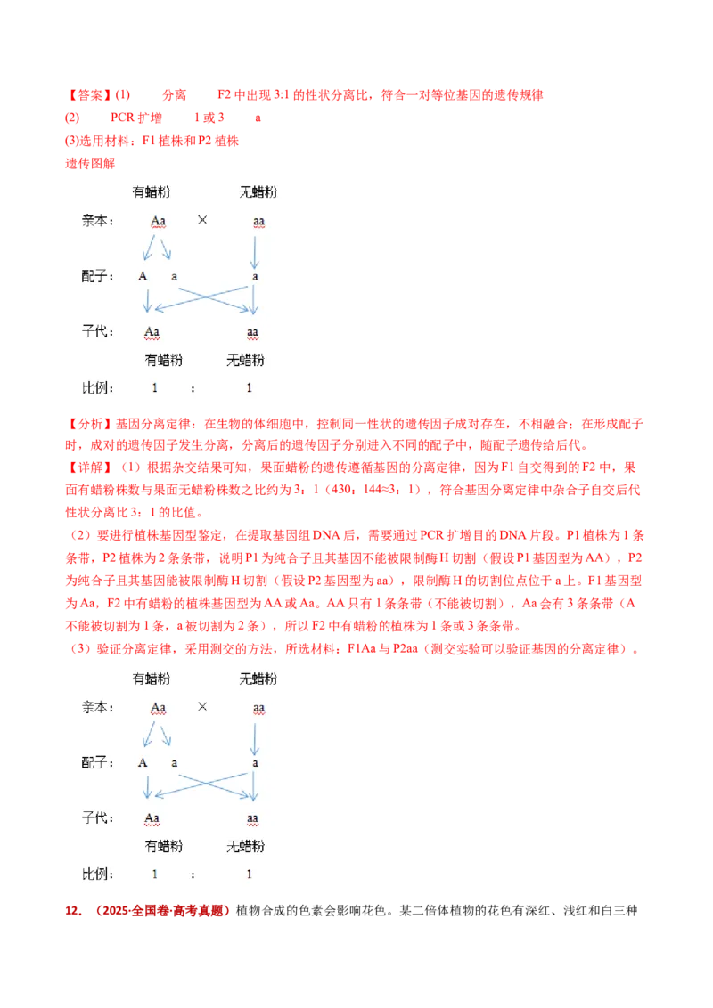 五年（2021-2025）全国高考生物真题分类汇编专题09基因的分离定律（全国通用）（解析版）_高考真题分类汇编_高考生物真题分类汇编（全国通用）五年（2021-2025）