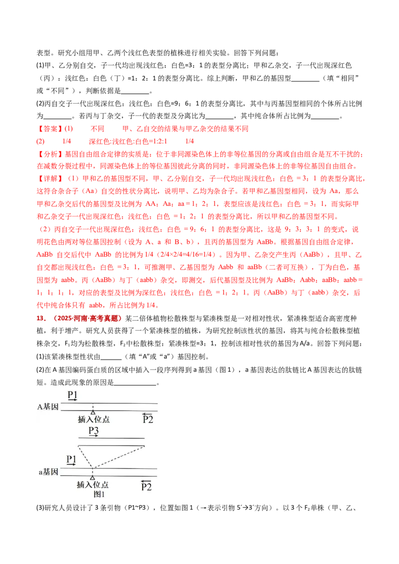 五年（2021-2025）全国高考生物真题分类汇编专题09基因的分离定律（全国通用）（解析版）_高考真题分类汇编_高考生物真题分类汇编（全国通用）五年（2021-2025）