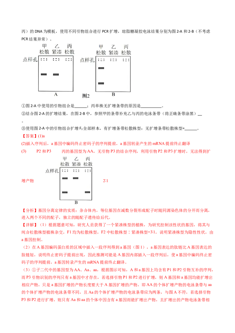 五年（2021-2025）全国高考生物真题分类汇编专题09基因的分离定律（全国通用）（解析版）_高考真题分类汇编_高考生物真题分类汇编（全国通用）五年（2021-2025）