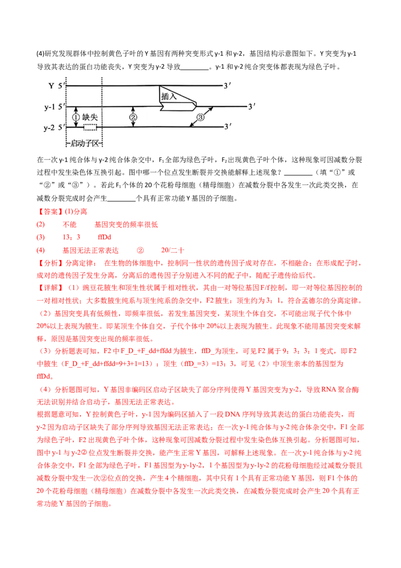 五年（2021-2025）全国高考生物真题分类汇编专题09基因的分离定律（全国通用）（解析版）_高考真题分类汇编_高考生物真题分类汇编（全国通用）五年（2021-2025）