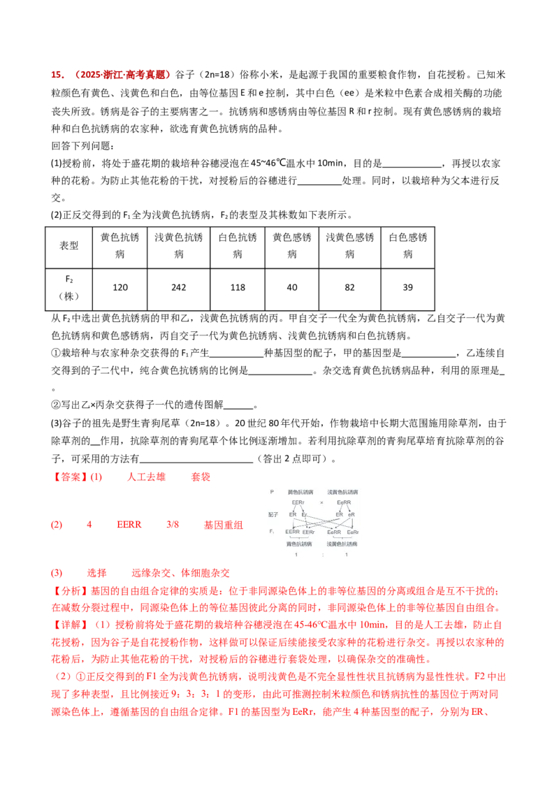 五年（2021-2025）全国高考生物真题分类汇编专题09基因的分离定律（全国通用）（解析版）_高考真题分类汇编_高考生物真题分类汇编（全国通用）五年（2021-2025）