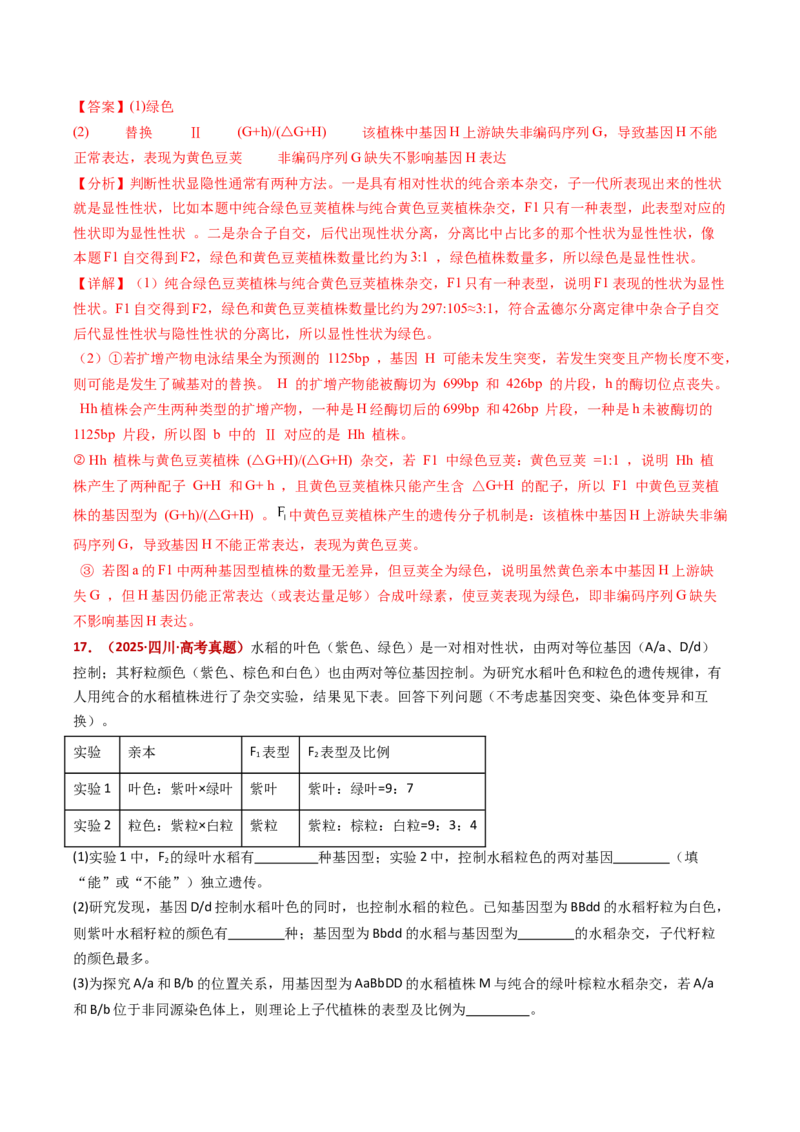 五年（2021-2025）全国高考生物真题分类汇编专题09基因的分离定律（全国通用）（解析版）_高考真题分类汇编_高考生物真题分类汇编（全国通用）五年（2021-2025）