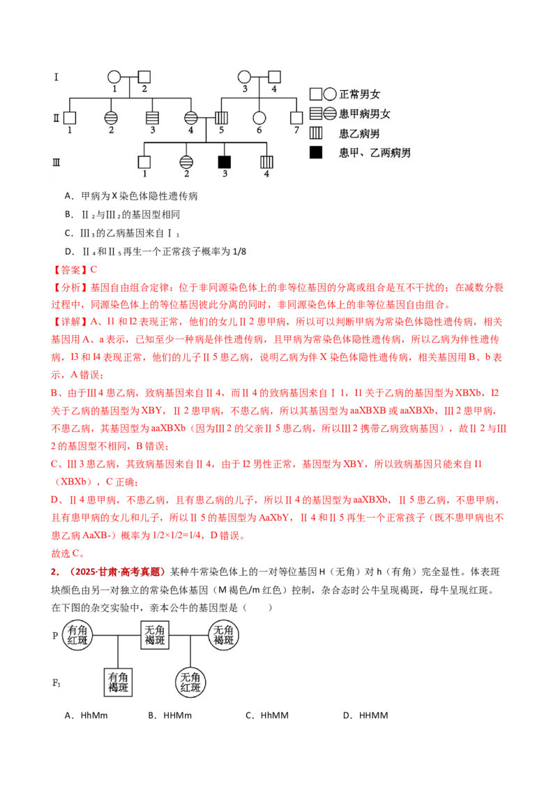五年（2021-2025）全国高考生物真题分类汇编专题09基因的分离定律（全国通用）（解析版）_高考真题分类汇编_高考生物真题分类汇编（全国通用）五年（2021-2025）