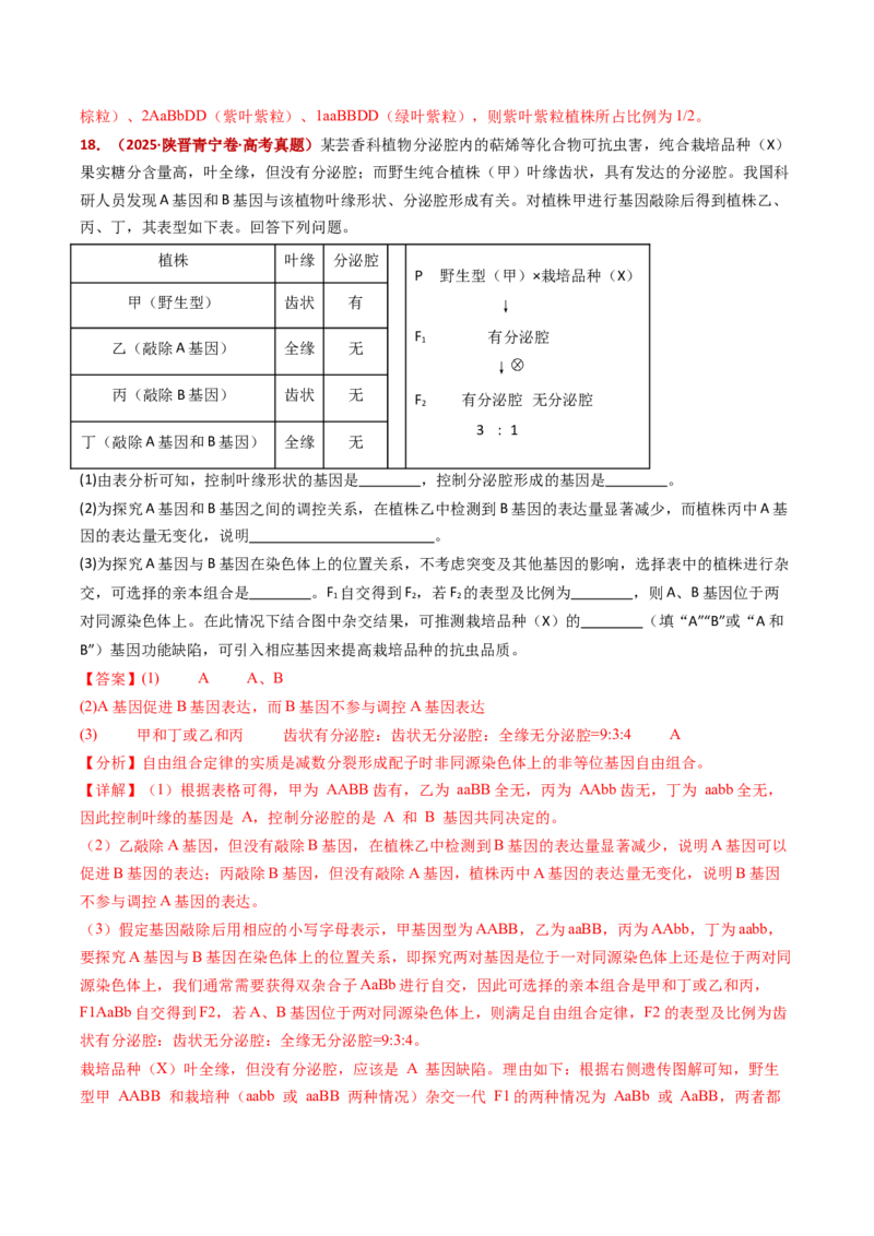 五年（2021-2025）全国高考生物真题分类汇编专题09基因的分离定律（全国通用）（解析版）_高考真题分类汇编_高考生物真题分类汇编（全国通用）五年（2021-2025）