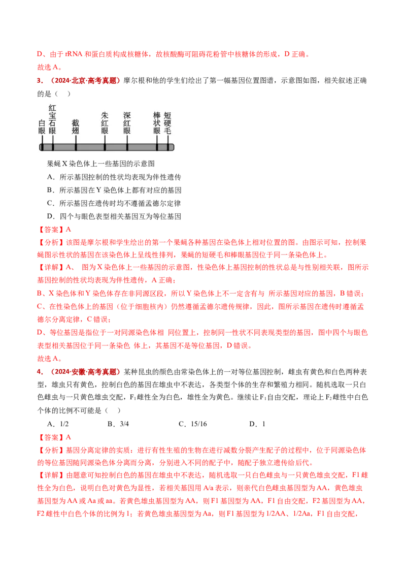 五年（2021-2025）全国高考生物真题分类汇编专题09基因的分离定律（全国通用）（解析版）_高考真题分类汇编_高考生物真题分类汇编（全国通用）五年（2021-2025）