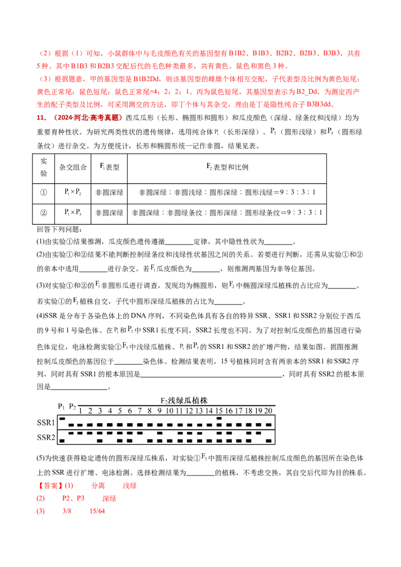 五年（2021-2025）全国高考生物真题分类汇编专题09基因的分离定律（全国通用）（解析版）_高考真题分类汇编_高考生物真题分类汇编（全国通用）五年（2021-2025）