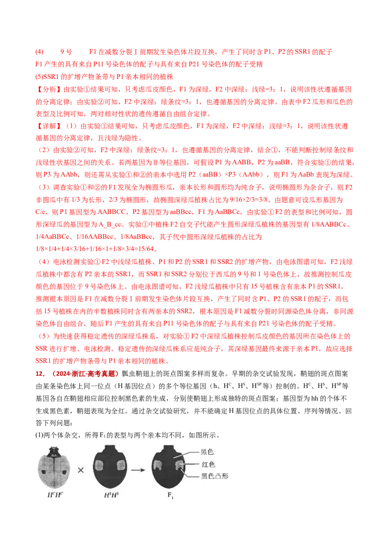 五年（2021-2025）全国高考生物真题分类汇编专题09基因的分离定律（全国通用）（解析版）_高考真题分类汇编_高考生物真题分类汇编（全国通用）五年（2021-2025）
