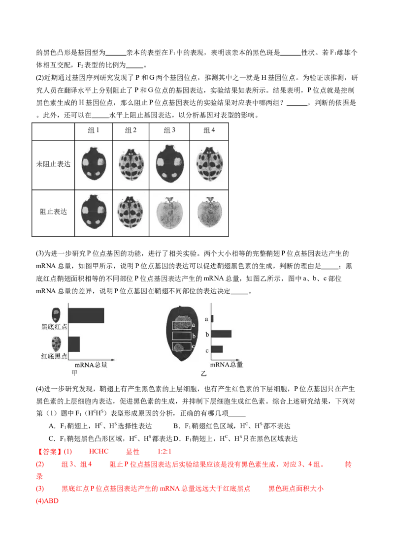 五年（2021-2025）全国高考生物真题分类汇编专题09基因的分离定律（全国通用）（解析版）_高考真题分类汇编_高考生物真题分类汇编（全国通用）五年（2021-2025）