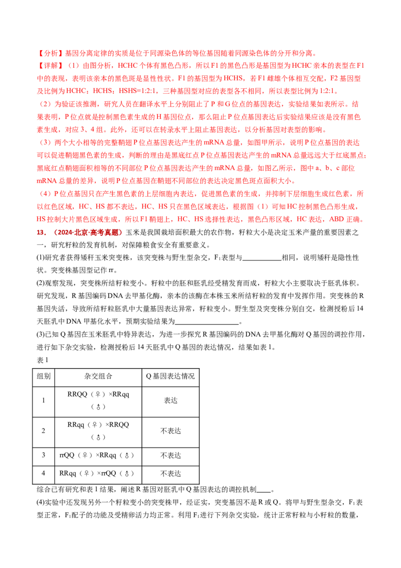 五年（2021-2025）全国高考生物真题分类汇编专题09基因的分离定律（全国通用）（解析版）_高考真题分类汇编_高考生物真题分类汇编（全国通用）五年（2021-2025）