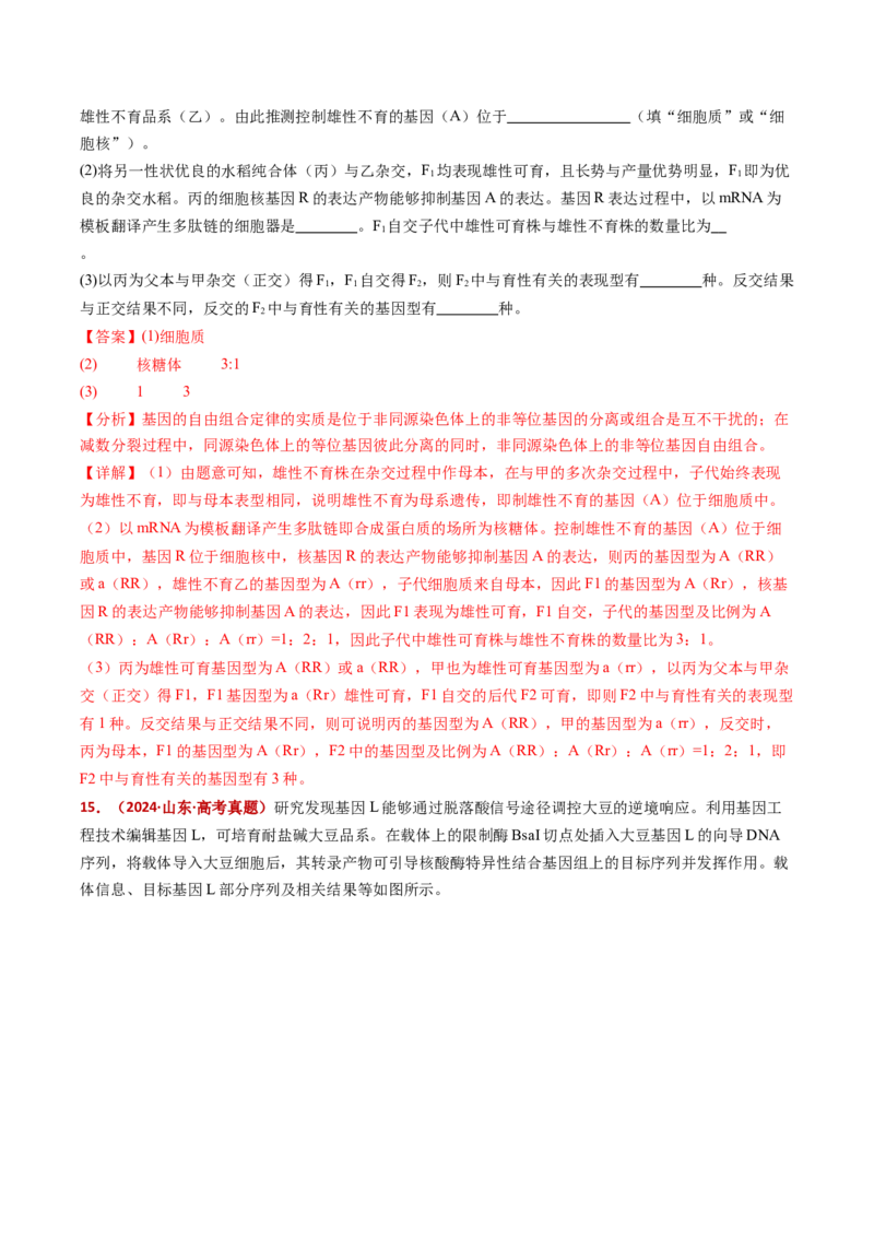 五年（2021-2025）全国高考生物真题分类汇编专题09基因的分离定律（全国通用）（解析版）_高考真题分类汇编_高考生物真题分类汇编（全国通用）五年（2021-2025）