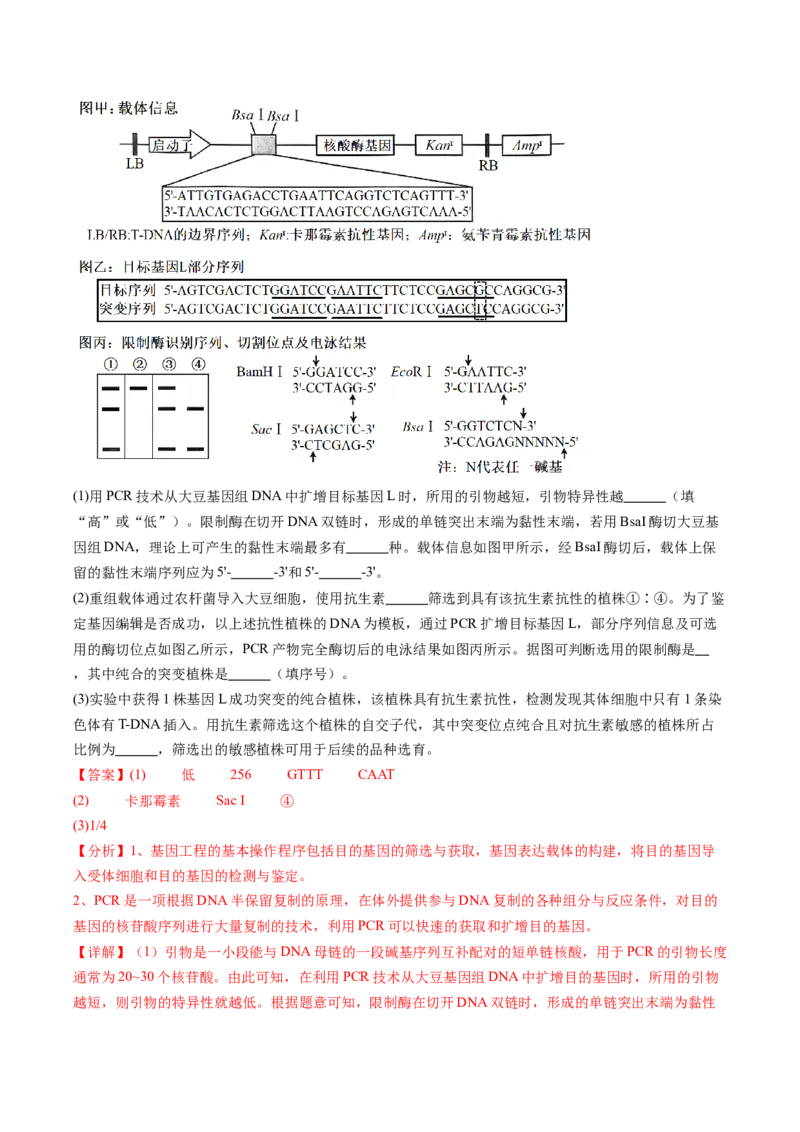 五年（2021-2025）全国高考生物真题分类汇编专题09基因的分离定律（全国通用）（解析版）_高考真题分类汇编_高考生物真题分类汇编（全国通用）五年（2021-2025）