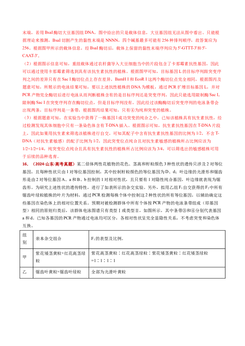 五年（2021-2025）全国高考生物真题分类汇编专题09基因的分离定律（全国通用）（解析版）_高考真题分类汇编_高考生物真题分类汇编（全国通用）五年（2021-2025）