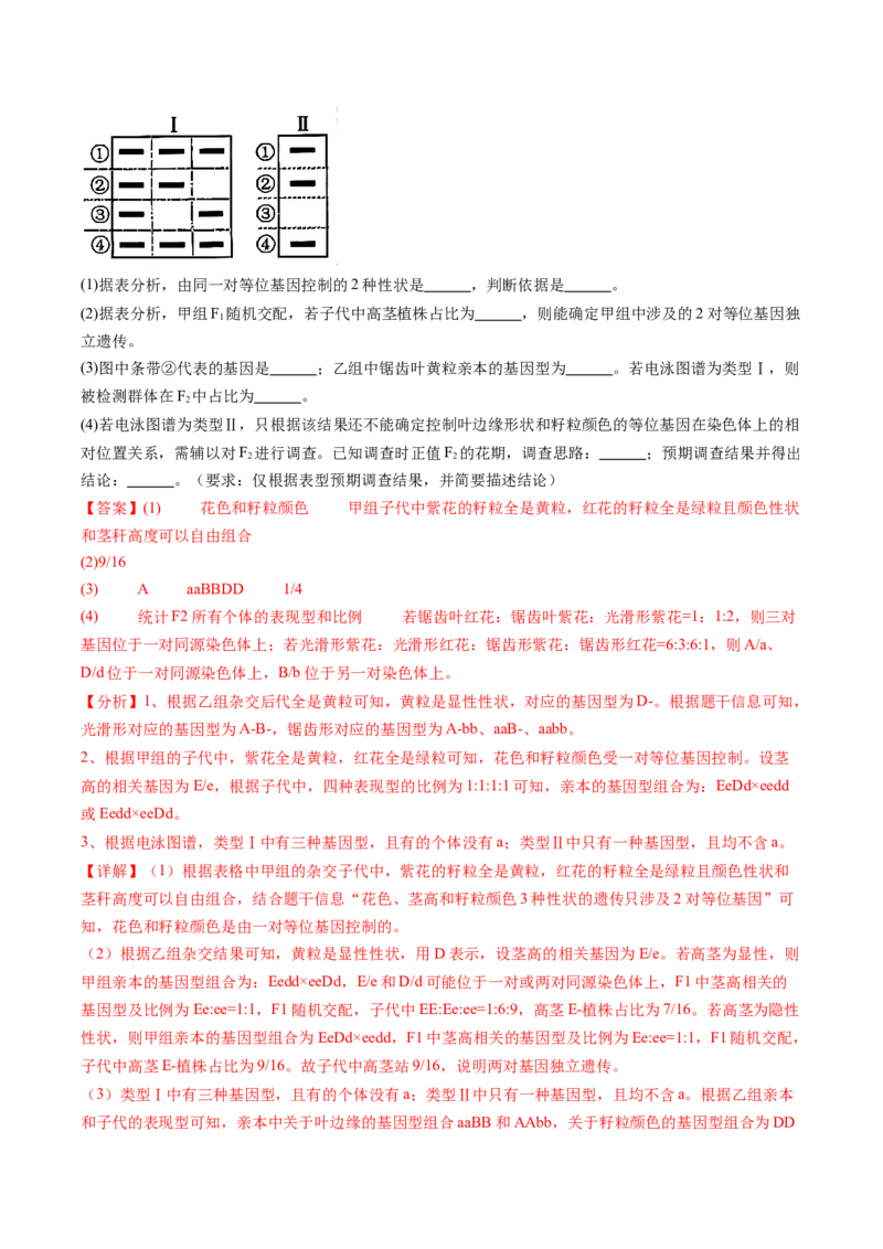 五年（2021-2025）全国高考生物真题分类汇编专题09基因的分离定律（全国通用）（解析版）_高考真题分类汇编_高考生物真题分类汇编（全国通用）五年（2021-2025）