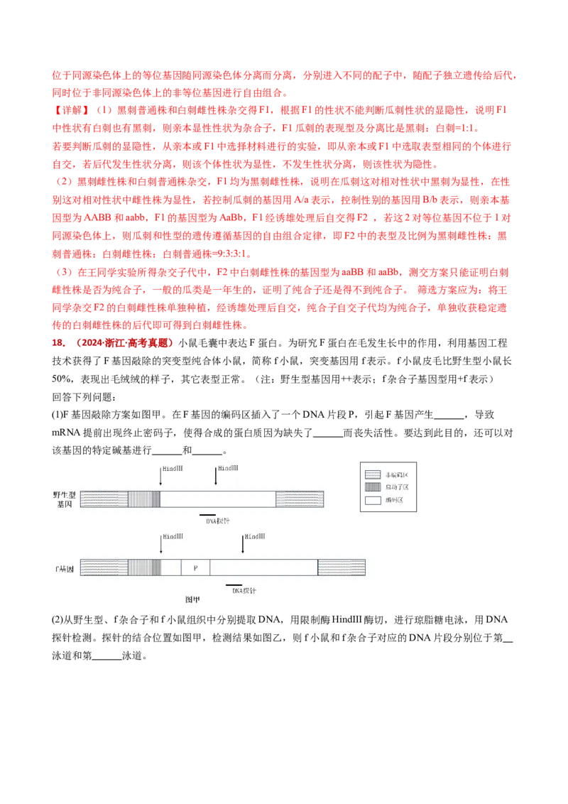五年（2021-2025）全国高考生物真题分类汇编专题09基因的分离定律（全国通用）（解析版）_高考真题分类汇编_高考生物真题分类汇编（全国通用）五年（2021-2025）