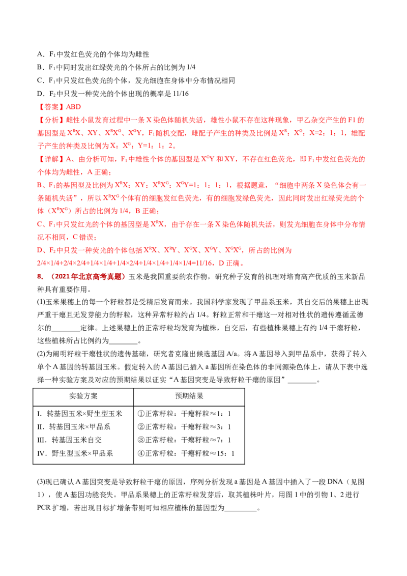 五年（2021-2025）全国高考生物真题分类汇编专题09基因的分离定律（全国通用）（解析版）_高考真题分类汇编_高考生物真题分类汇编（全国通用）五年（2021-2025）