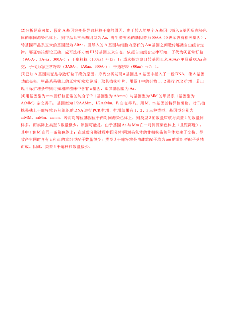 五年（2021-2025）全国高考生物真题分类汇编专题09基因的分离定律（全国通用）（解析版）_高考真题分类汇编_高考生物真题分类汇编（全国通用）五年（2021-2025）