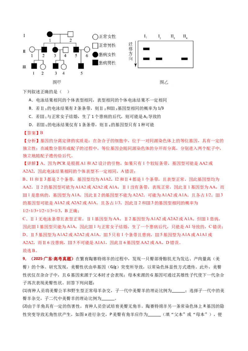五年（2021-2025）全国高考生物真题分类汇编专题09基因的分离定律（全国通用）（解析版）_高考真题分类汇编_高考生物真题分类汇编（全国通用）五年（2021-2025）