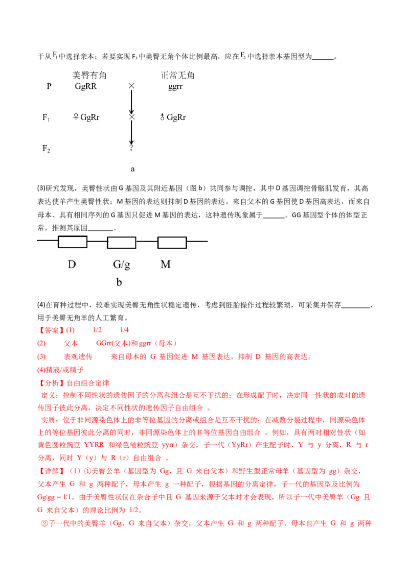 五年（2021-2025）全国高考生物真题分类汇编专题09基因的分离定律（全国通用）（解析版）_高考真题分类汇编_高考生物真题分类汇编（全国通用）五年（2021-2025）