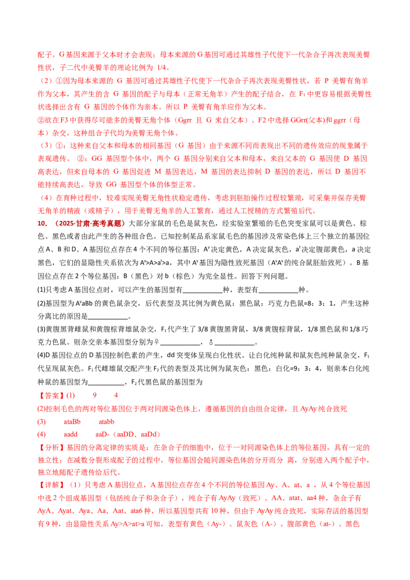 五年（2021-2025）全国高考生物真题分类汇编专题09基因的分离定律（全国通用）（解析版）_高考真题分类汇编_高考生物真题分类汇编（全国通用）五年（2021-2025）