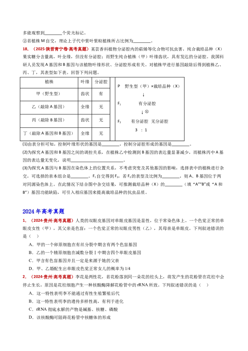 五年（2021-2025）全国高考生物真题分类汇编专题09基因的分离定律（全国通用）（原卷版）_高考真题分类汇编_高考生物真题分类汇编（全国通用）五年（2021-2025）