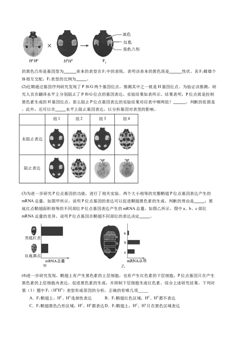 五年（2021-2025）全国高考生物真题分类汇编专题09基因的分离定律（全国通用）（原卷版）_高考真题分类汇编_高考生物真题分类汇编（全国通用）五年（2021-2025）