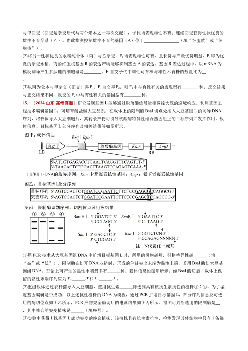五年（2021-2025）全国高考生物真题分类汇编专题09基因的分离定律（全国通用）（原卷版）_高考真题分类汇编_高考生物真题分类汇编（全国通用）五年（2021-2025）