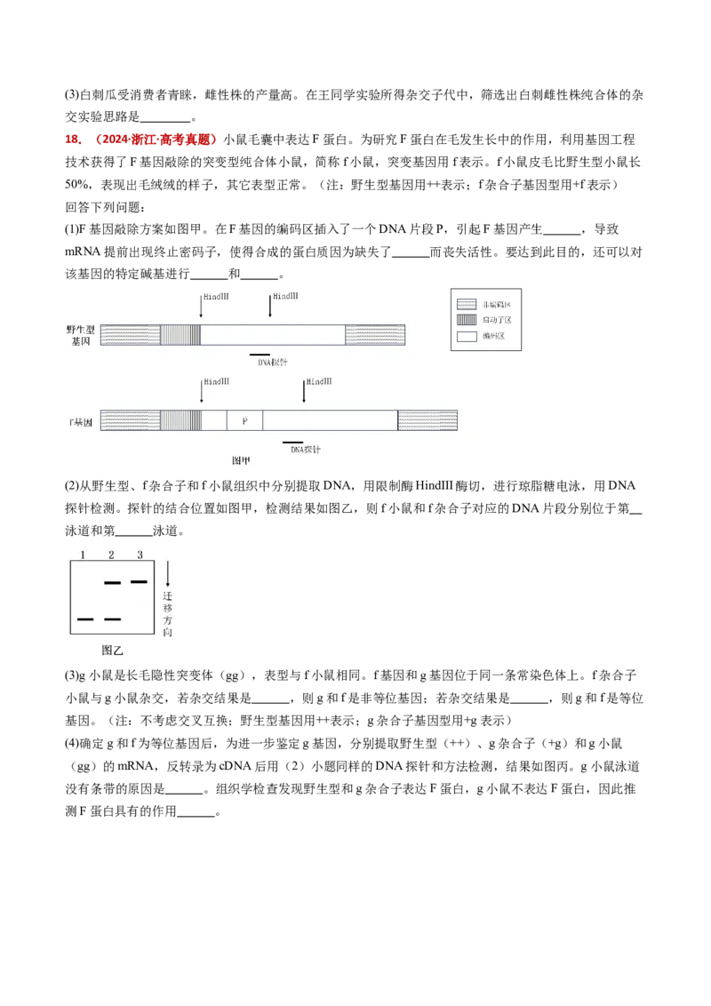 五年（2021-2025）全国高考生物真题分类汇编专题09基因的分离定律（全国通用）（原卷版）_高考真题分类汇编_高考生物真题分类汇编（全国通用）五年（2021-2025）