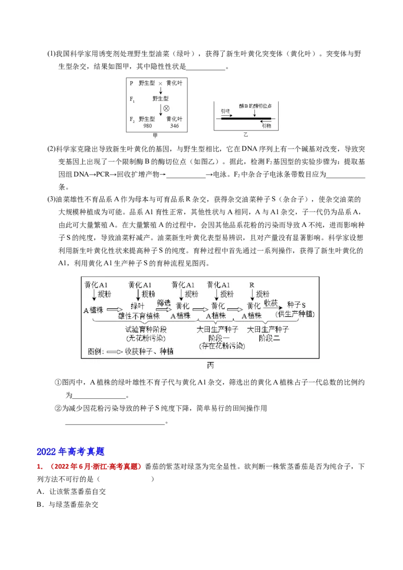 五年（2021-2025）全国高考生物真题分类汇编专题09基因的分离定律（全国通用）（原卷版）_高考真题分类汇编_高考生物真题分类汇编（全国通用）五年（2021-2025）