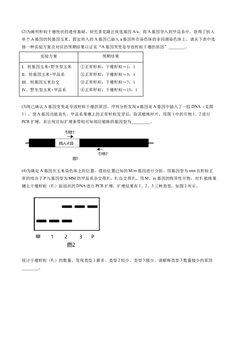 五年（2021-2025）全国高考生物真题分类汇编专题09基因的分离定律（全国通用）（原卷版）_高考真题分类汇编_高考生物真题分类汇编（全国通用）五年（2021-2025）
