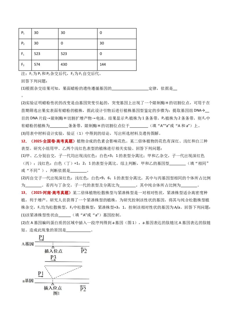 五年（2021-2025）全国高考生物真题分类汇编专题09基因的分离定律（全国通用）（原卷版）_高考真题分类汇编_高考生物真题分类汇编（全国通用）五年（2021-2025）