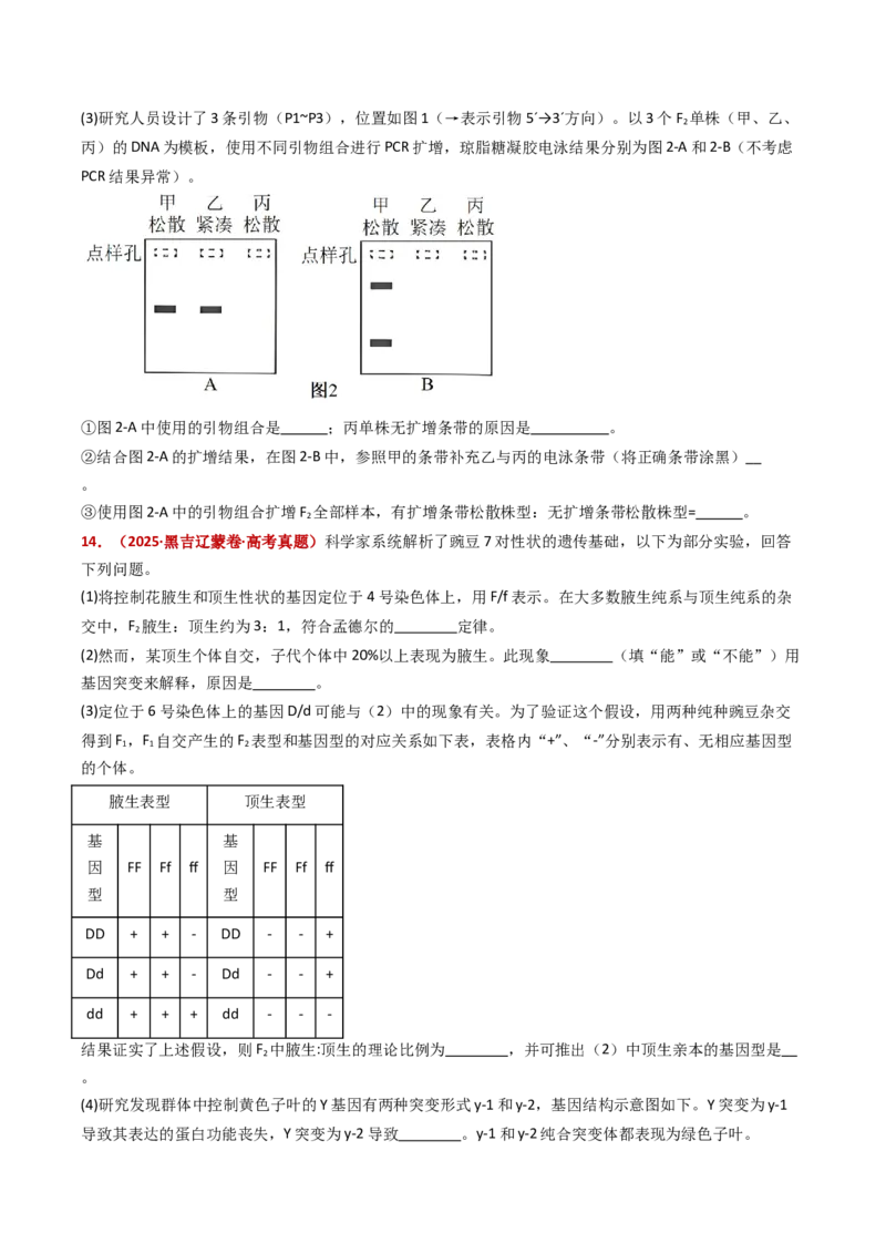 五年（2021-2025）全国高考生物真题分类汇编专题09基因的分离定律（全国通用）（原卷版）_高考真题分类汇编_高考生物真题分类汇编（全国通用）五年（2021-2025）