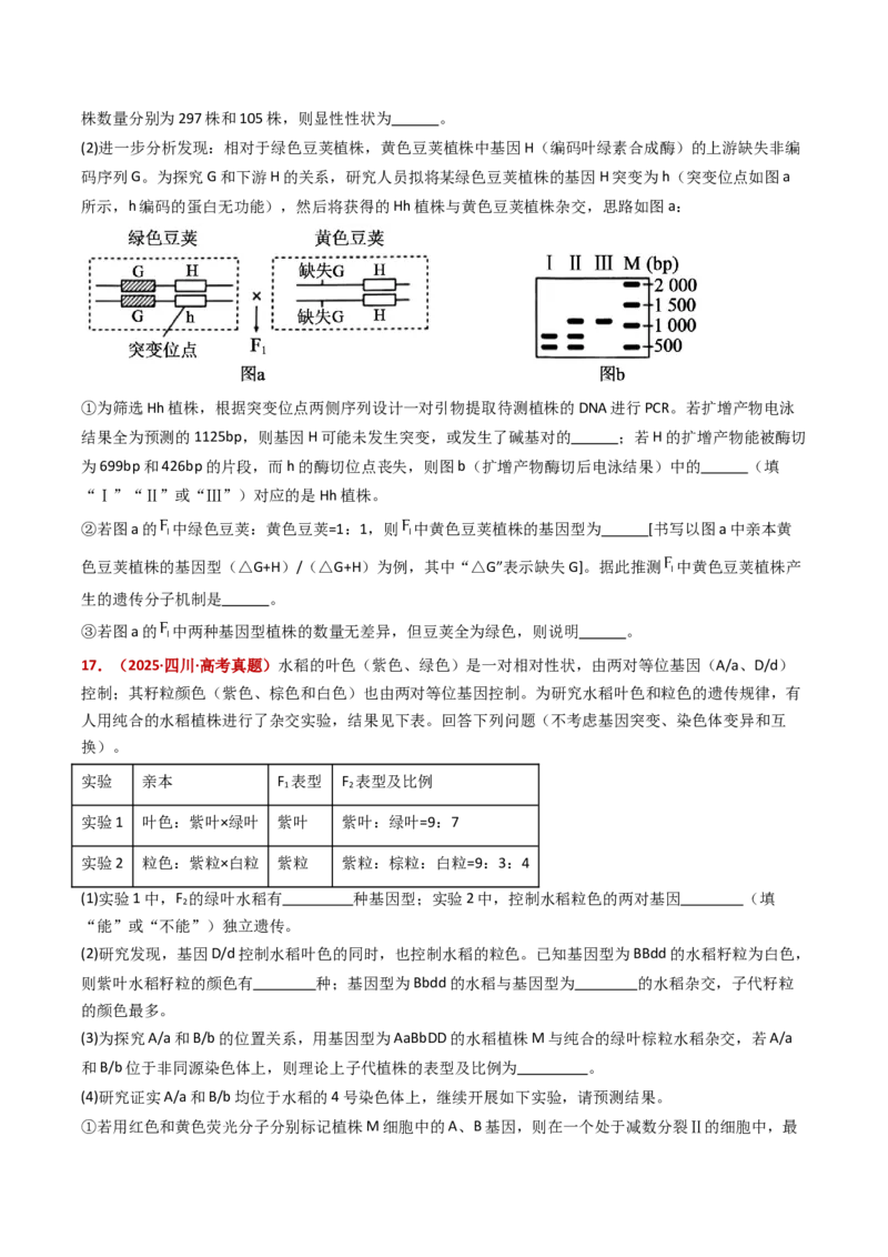 五年（2021-2025）全国高考生物真题分类汇编专题09基因的分离定律（全国通用）（原卷版）_高考真题分类汇编_高考生物真题分类汇编（全国通用）五年（2021-2025）