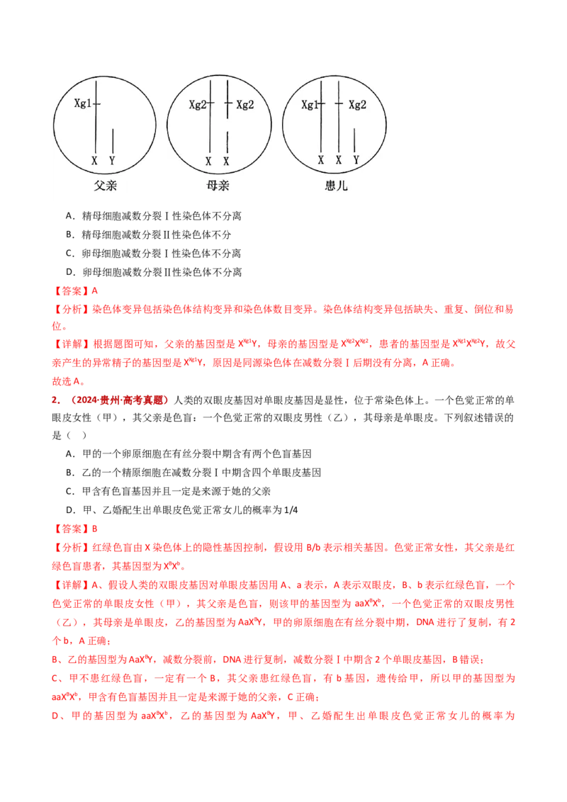 五年（2021-2025）全国高考生物真题分类汇编专题11伴性遗传和人类遗传病（全国通用）（解析版）_高考真题分类汇编_高考生物真题分类汇编（全国通用）五年（2021-2025）