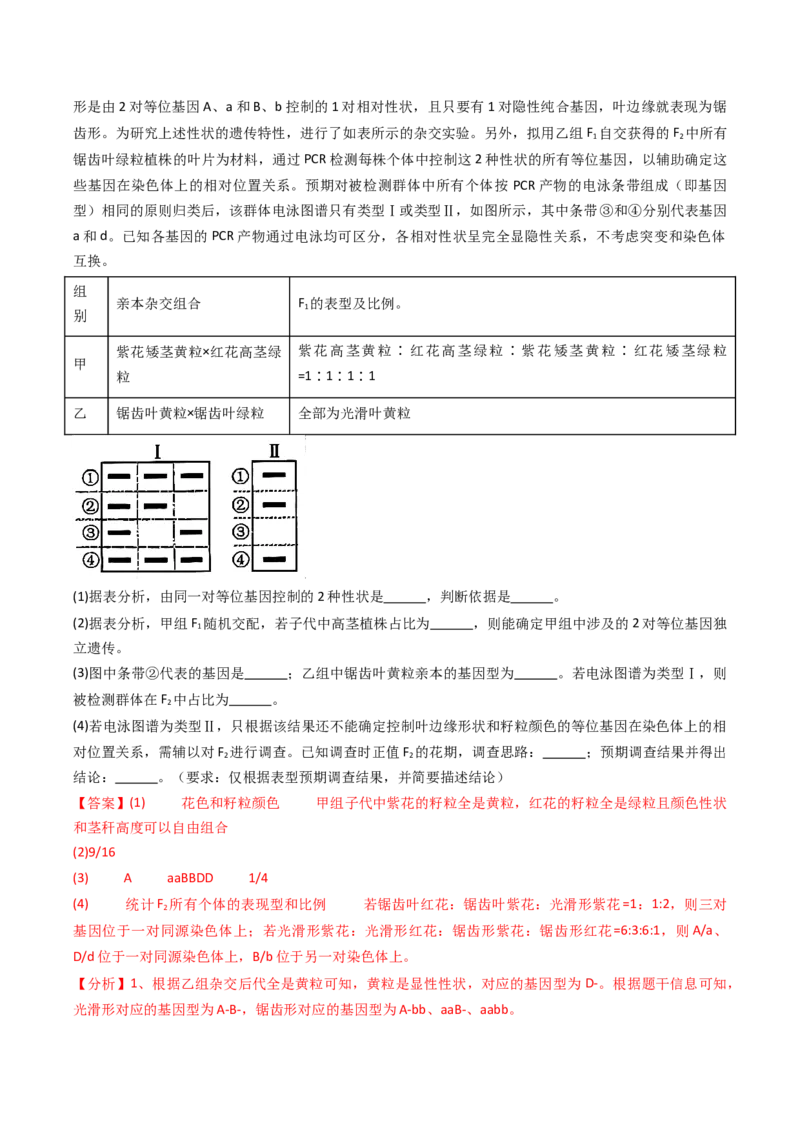 五年（2021-2025）全国高考生物真题分类汇编专题11伴性遗传和人类遗传病（全国通用）（解析版）_高考真题分类汇编_高考生物真题分类汇编（全国通用）五年（2021-2025）