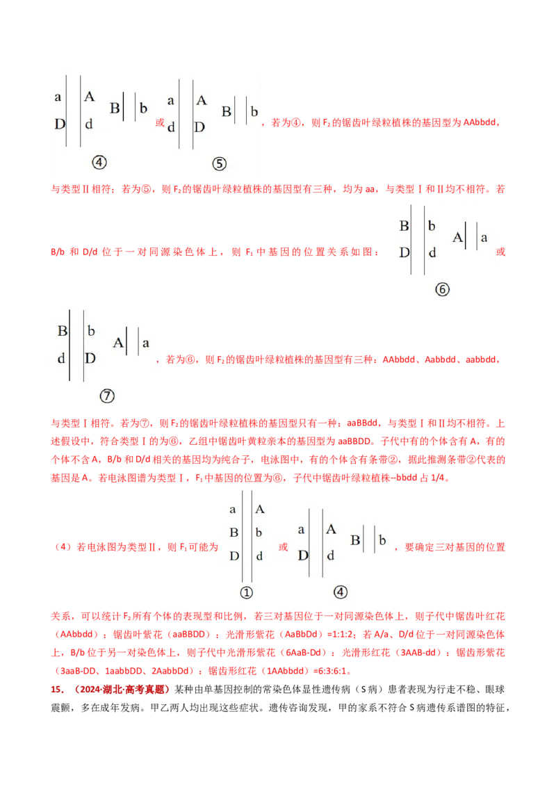 五年（2021-2025）全国高考生物真题分类汇编专题11伴性遗传和人类遗传病（全国通用）（解析版）_高考真题分类汇编_高考生物真题分类汇编（全国通用）五年（2021-2025）