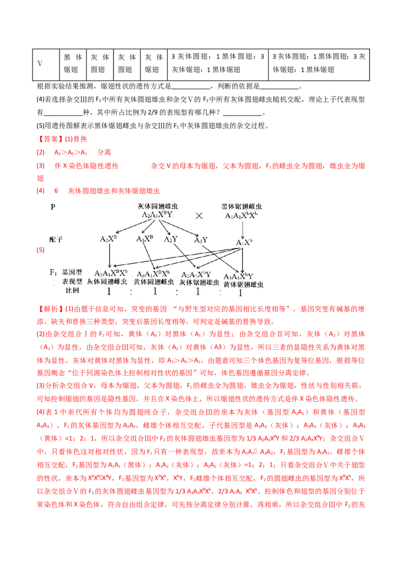 五年（2021-2025）全国高考生物真题分类汇编专题11伴性遗传和人类遗传病（全国通用）（解析版）_高考真题分类汇编_高考生物真题分类汇编（全国通用）五年（2021-2025）