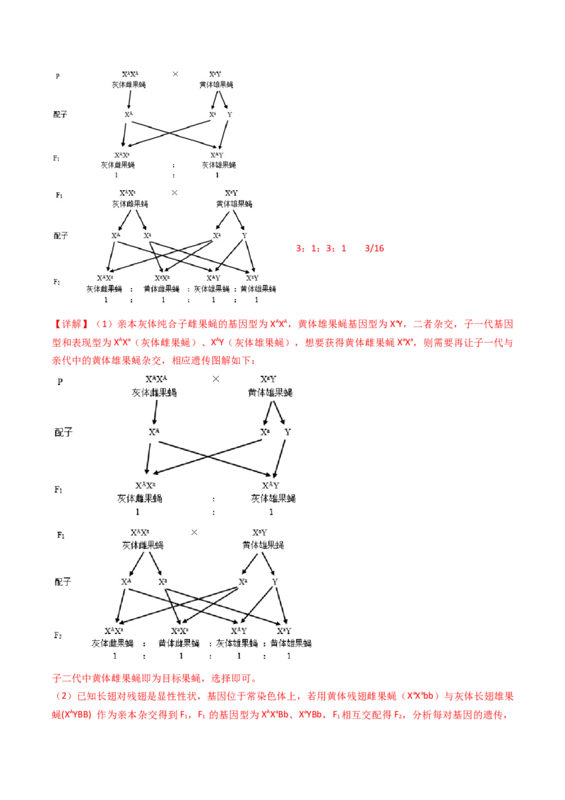 五年（2021-2025）全国高考生物真题分类汇编专题11伴性遗传和人类遗传病（全国通用）（解析版）_高考真题分类汇编_高考生物真题分类汇编（全国通用）五年（2021-2025）