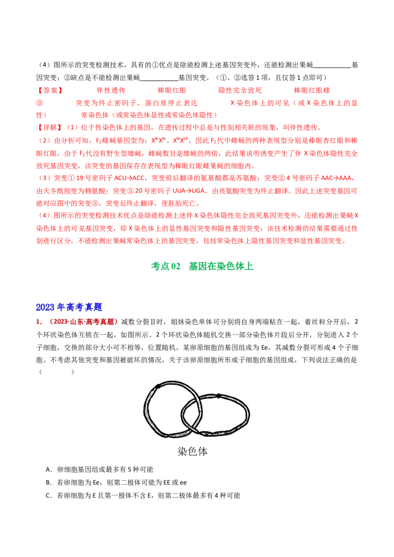 五年（2021-2025）全国高考生物真题分类汇编专题11伴性遗传和人类遗传病（全国通用）（解析版）_高考真题分类汇编_高考生物真题分类汇编（全国通用）五年（2021-2025）
