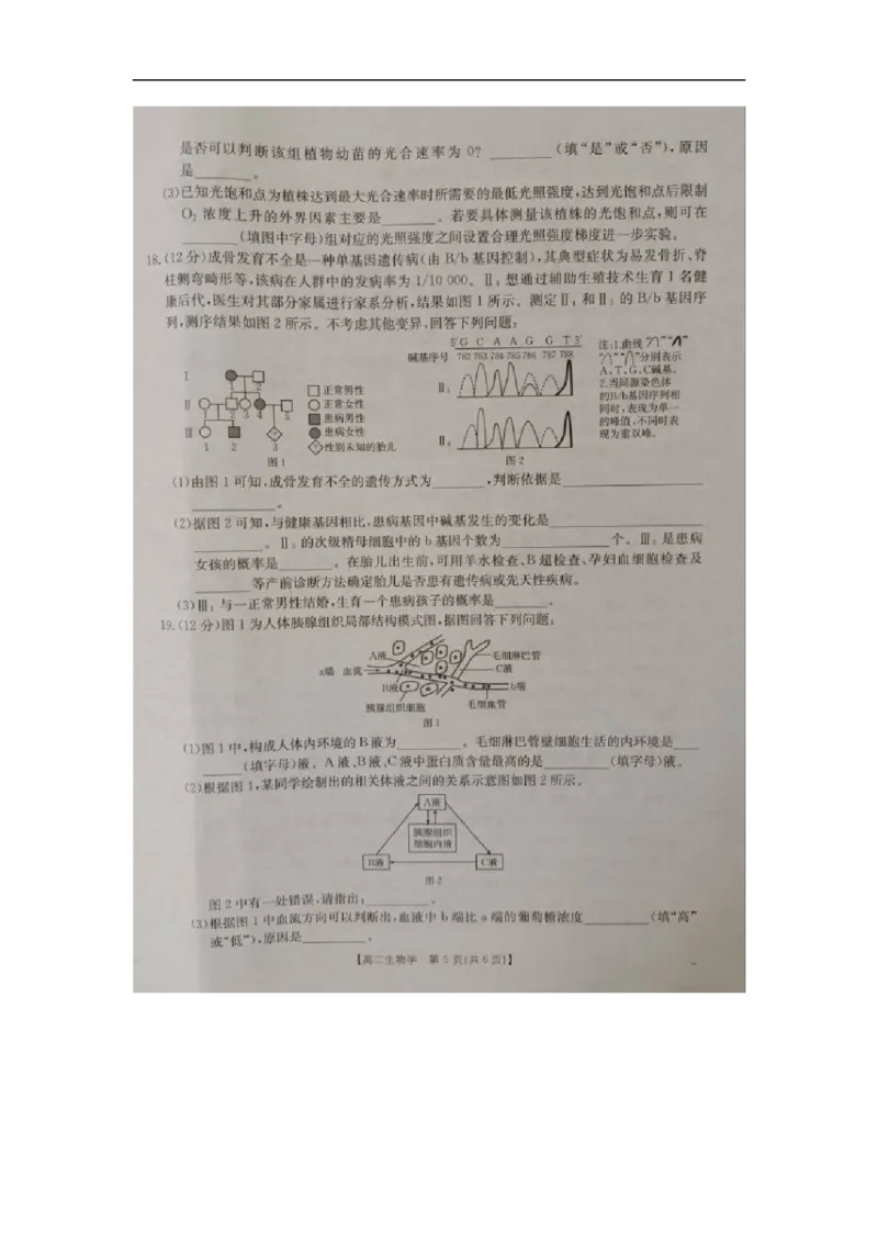 广西壮族自治区来宾市2025-2026学年上学期期中考试生物试卷_2025年11月高二试卷_251110河广西壮族自治区来宾市2025-2026学年高二上学期11月期中（全）