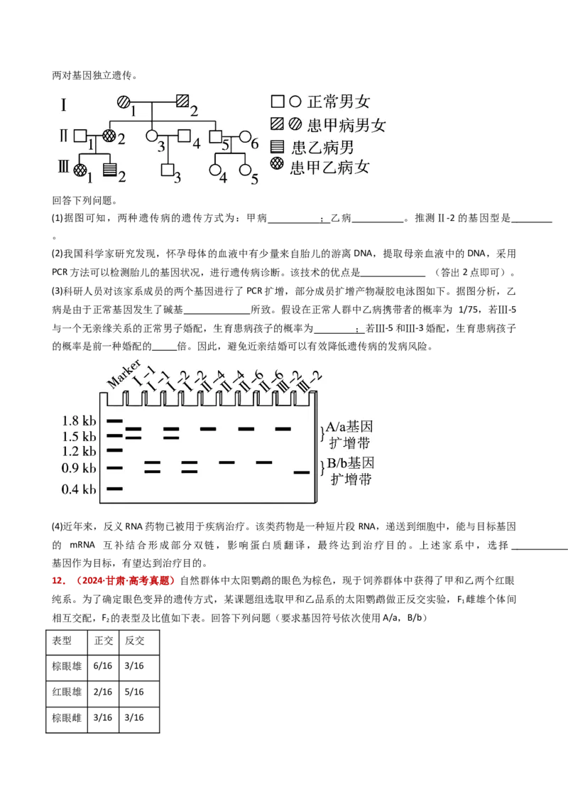 五年（2021-2025）全国高考生物真题分类汇编专题11伴性遗传和人类遗传病（全国通用）（原卷版）_高考真题分类汇编_高考生物真题分类汇编（全国通用）五年（2021-2025）