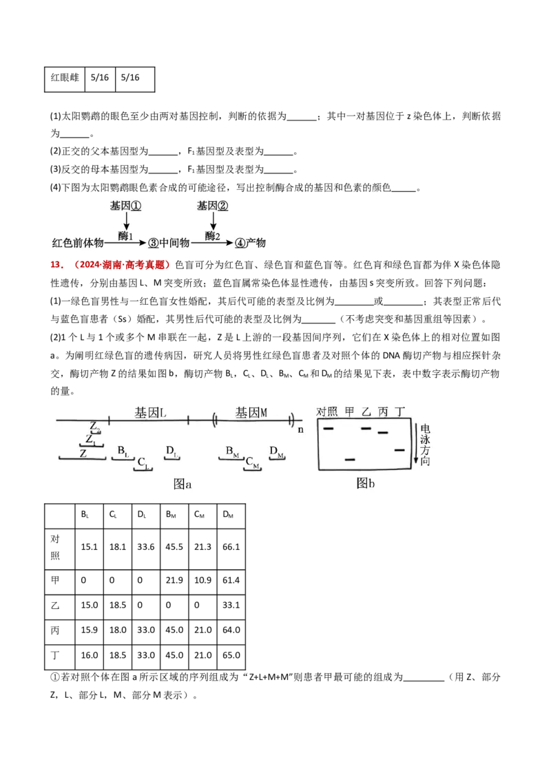 五年（2021-2025）全国高考生物真题分类汇编专题11伴性遗传和人类遗传病（全国通用）（原卷版）_高考真题分类汇编_高考生物真题分类汇编（全国通用）五年（2021-2025）