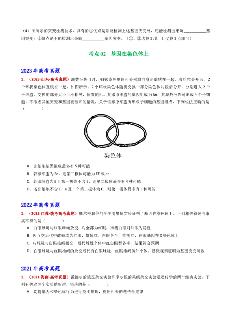 五年（2021-2025）全国高考生物真题分类汇编专题11伴性遗传和人类遗传病（全国通用）（原卷版）_高考真题分类汇编_高考生物真题分类汇编（全国通用）五年（2021-2025）