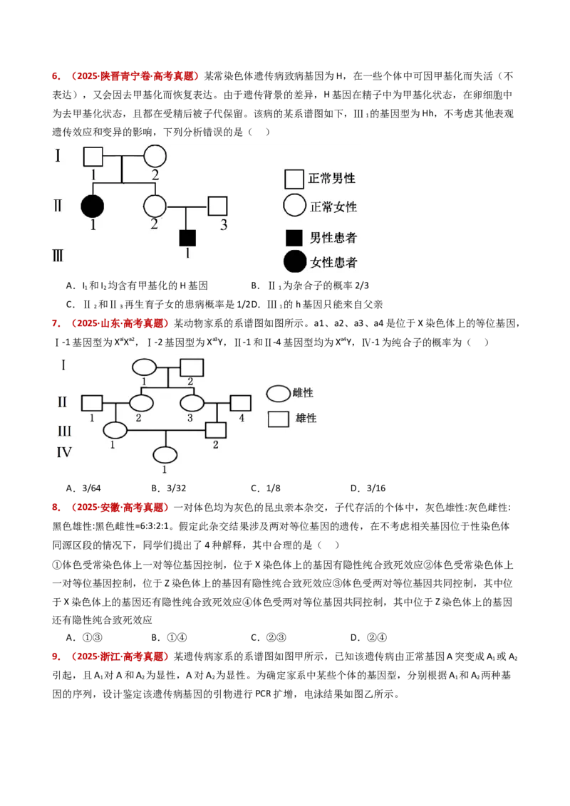 五年（2021-2025）全国高考生物真题分类汇编专题11伴性遗传和人类遗传病（全国通用）（原卷版）_高考真题分类汇编_高考生物真题分类汇编（全国通用）五年（2021-2025）